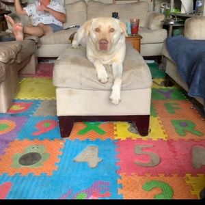 Meet your Posher, Barb